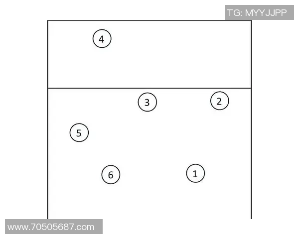 杭州排球队的节奏变化与战术调整对比赛结果的影响分析 杭州排球队的节奏变化与战术调整对比赛结果的影响分析